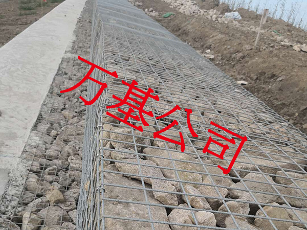 無銹熔接網(wǎng)圖片2