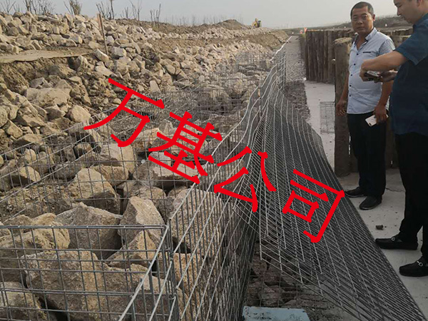 無銹熔接網(wǎng)圖片7
